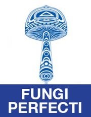 Вітаміни для пам`яті та мозку Fungi Perfecti Вітаміни для пам`яті та мозку Fungi Perfecti