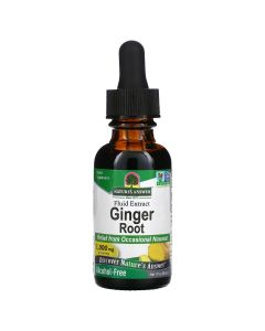 Імбир, 1000 мг, екстракт кореня без спирту, Ginger Root, Fluid Extract, Alcohol-Free, Nature's Answer, 30 мл