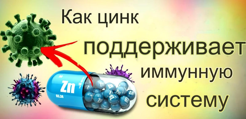 Цинк для иммунитета